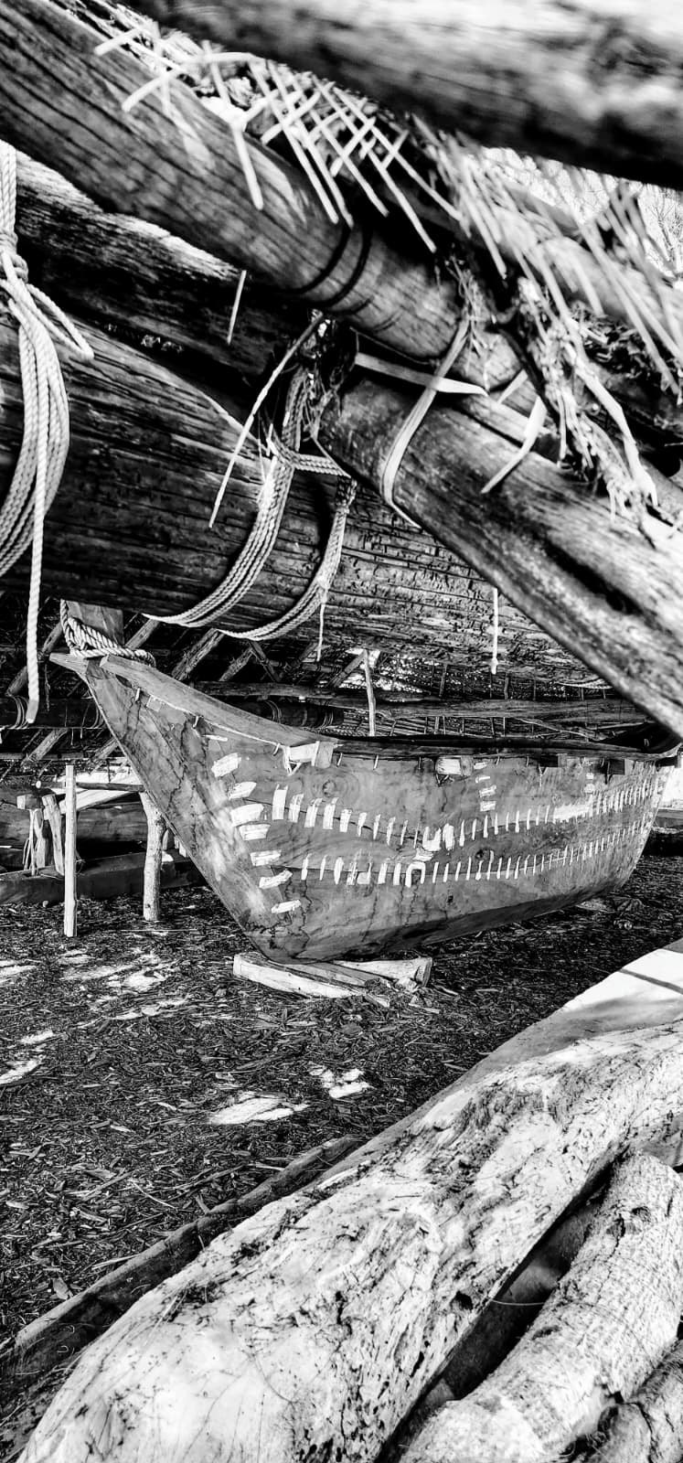 Black-and-white view of a wooden hull beneath a thatched shelter.
