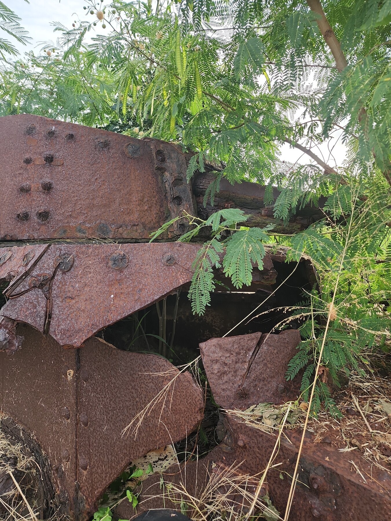 Close view of corroded tank plates surrounding a dark opening, with vegetation across the metal