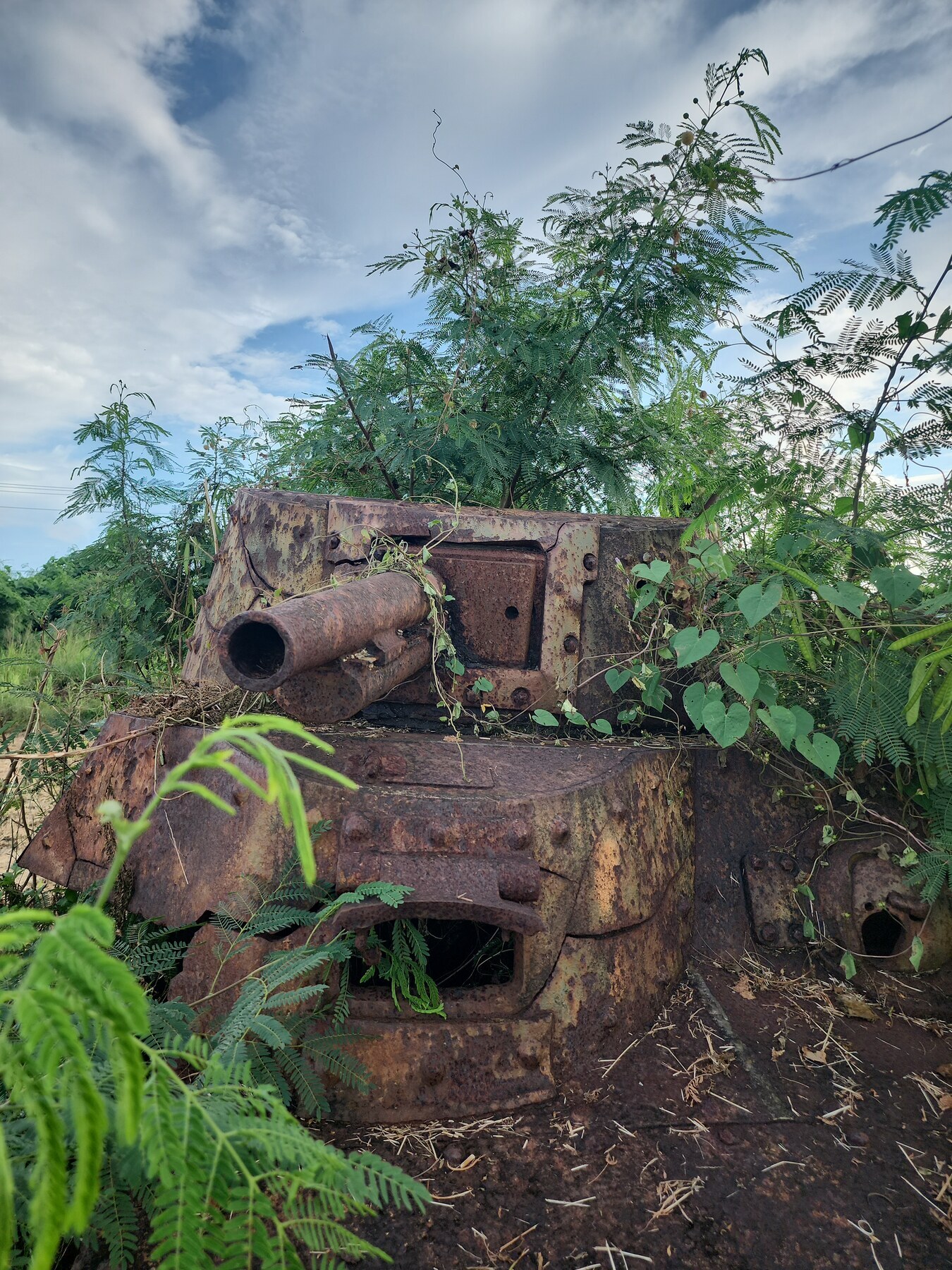 Corroded tank with a projecting gun barrel, surrounded by foliage beneath a cloudy sky