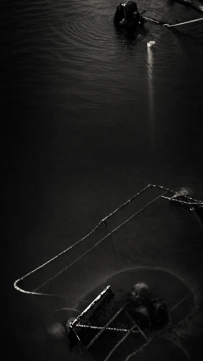 View of divers conducting a maritime vessel survey